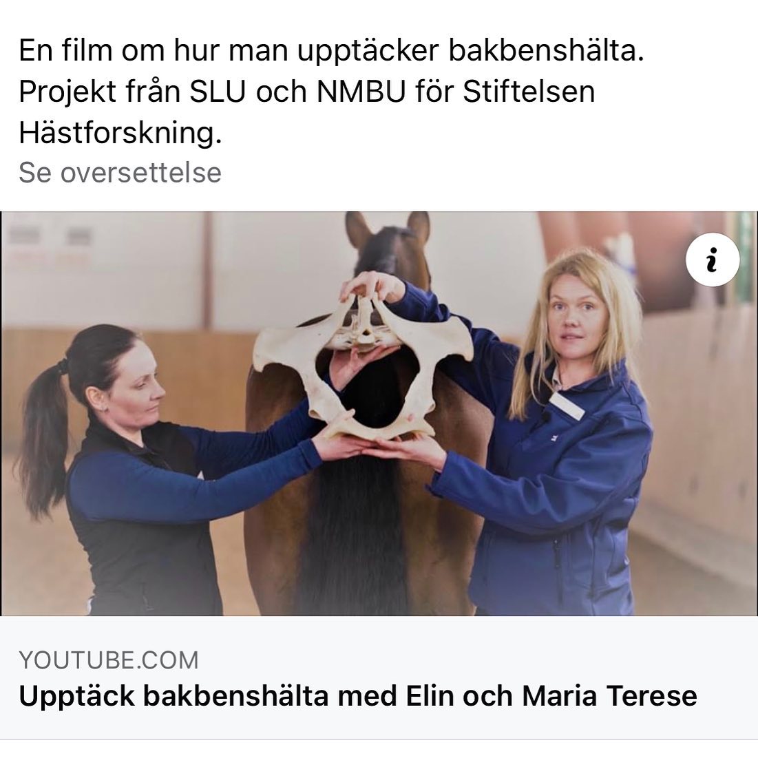 Pris for Årets Hesteforskningsprosjekt