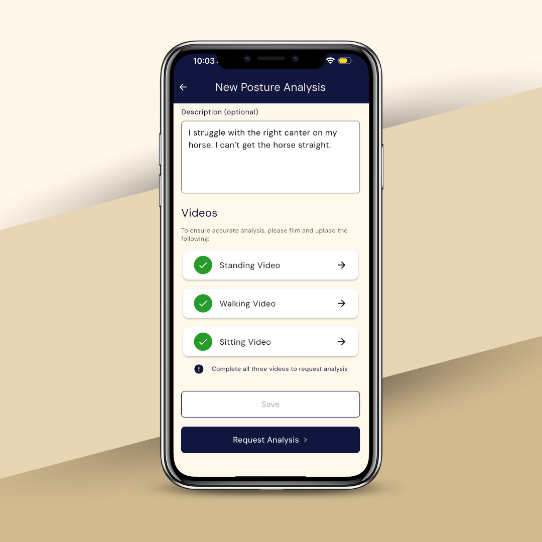 RIB Rider Analysis App