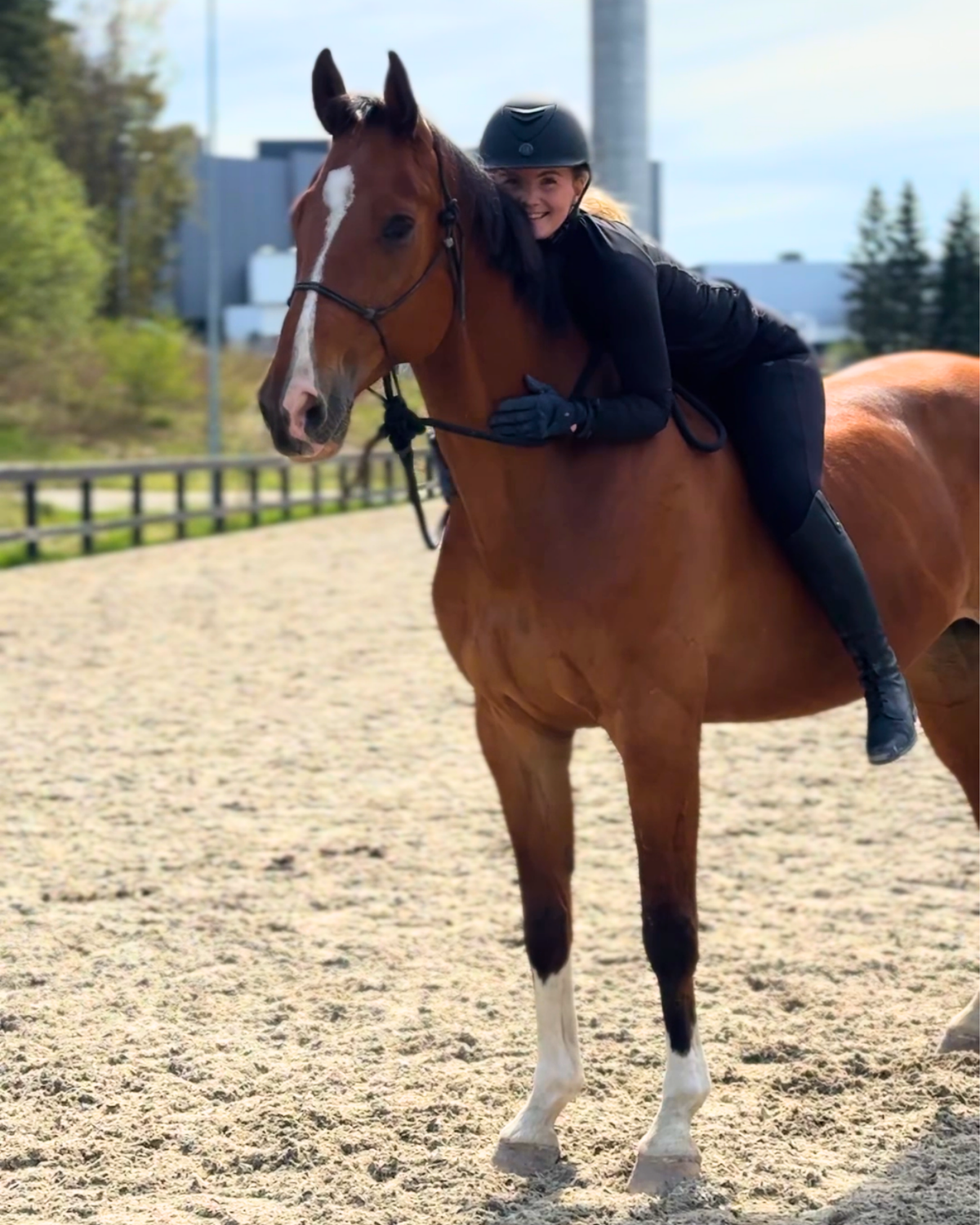 RIB Academy Level 1 - Build a strong foundation – Rider In Balance
