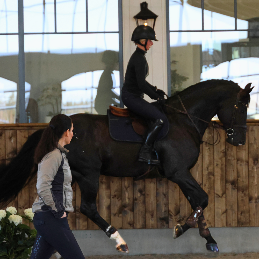 Balancing Rider Become a better rider with Rider In Balance